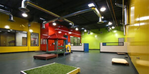 Modern dog daycare facility interior with colorful play areas, artificial grass, and open indoor space at Ruff House Co in...